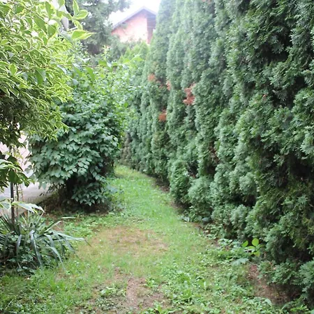Apartment Vila Kike