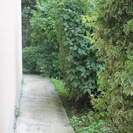 Vila Kike * Sarajevo